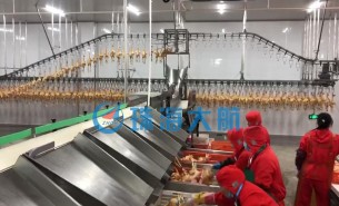 復(fù)工后禽肉屠宰加工產(chǎn)量提不上去？快用珠海大航重量分選機(jī)