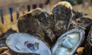 牡蠣自動重量分選機 —— 水產行業(yè)的得力助手