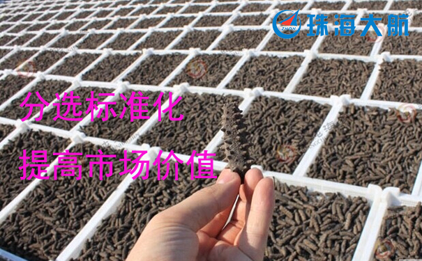 1529566330835426.jpg 海參.jpg