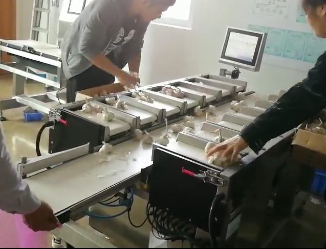 1673512621611868.jpg 1527132282(1).jpg